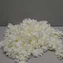 33Ft Cream White Artificial Hanging Flowers Garland Fake Wisteria Flowers Garlands Vine for Party Wedding Garden Wall Decoration (Cream White, 10 Pack)