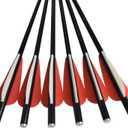 Crossbow Bolts Arrows Fiberglass 12 14 16 Inch Hunting Archery Target Arrow with Replaced 100 Grain Arrowheads Flat Nocks (Pack of 12)