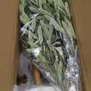 Artificial Olive Tree Artificial Plants, Tall Faux Olive Silk Plant with White Planter Home Office Decor Indoor Fake Potted Tree with Lifelike Fruits Housewarming Gift (1, White, 6FT)