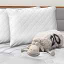 Serta Versafoam Memory Foam Bed Pillow, 2 Count (Pack of 1), Elite