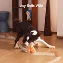 Cheerble Smart Interactive Dog Toy, Wicked Ball Rolly, Automatic Moving, Bouncing, Rotating, E-TPU Material, with Rope & Barks Sound Active Rolling Interactive Dog Ball for Medium and Large Dogs