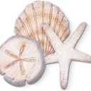Novabright Coastal Sea Shell Wall Art Rustic Wooden Starfish and Sand Dollar Decor for Beach Theme Bathroom Bedroom Living Room Nautical Wooden Sign for Lake House Summer Home Decoration(Brown)