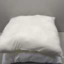 2 White Pillows 20x20in