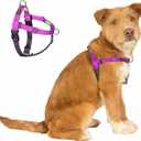 Freedom No Pull Dog Harness, Easy Walker, Front and Back Clips, Stop Pulling with 2 Stainless D-Rings, Sewn-in Instructions Tags for Easy Use, for Small Dogs Weight 20-30 lbs (Purple, Small)
