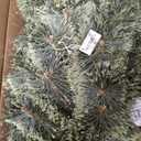 National Tree Company First Traditions Arcadia Pine Cashmere Slim Christmas Tree with Hinged Branches, 6 ft