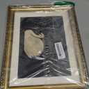 VIYYIEA Gold Framed Wall Art Canvas Print Home Decor Vintage Swan Decoration Grace Swan Art Painting Pictures Rustic Bathroom Wall Decor Animal Farmhouse Artwork for Living Room Bedroom Office 11x14in