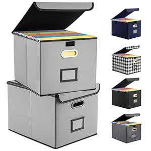 Collapsible File Box with Lid & Plastic Slide - Hanging Document Organizer for Office/Home, 14.96x12.6x10.83 Inch,Black, 2 Pack (No Folders Included)