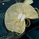 Cizoe Tea Party Fascinator Hats for Womens 50s Headwear with Veil Flower Cocktail Wedding Church Derby Hat (05-champagne/Silver/Sinamay)