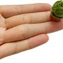 Miniature Potted Plants Resin Decoration 30pcs Random Set for Doll House Pretend Play Toys DIY Mini Home Garden Flowerpot Succulent Planter