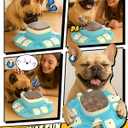 puppyspout Dog Puzzle Toy2 Levels for Smart Dogs, Slow Feeder with Button for IQ Training and Mental Enrichment