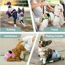 Washable Female Dog Diapers - Premium Reusable Diapers for Doggie in Heat - Highly Absorbent Dog Diapers Female for Pet Incontinence with Adjustable Snaps Sunflower, XL