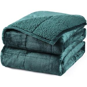 Aemicion Plush Sherpa Weighted Blanket Queen Size 15lbs - Soft Cozy Fleece Heavy Weighted Blanket, Breathable and Washable -Gift for Women Men-Green