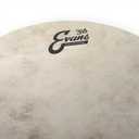 Evans Drum Heads - CalftoneTom Drumheadr, 16 Inch