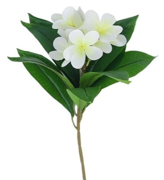 Frangipani Artificial Flowers Decor Living Room Decor Flowers Fake Flower Art Wedding Landscaping Flower Arrangements (Color: White short stick)Pack of 5