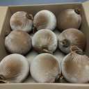 9 PCS Velvet Christmas Balls Ornaments 4inch& 6inch Christmas Large Ball Set for Xmas Tree Decor, Holiday Home Party (Browm, 6inch)