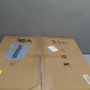 DLLT Modern Ceiling Fans with Lights: 20" Flush Mount Low Profile Ceiling Fan with APP Remote Control - White LED Bladeless Fandelier Dimmable Quiet DC Motor for Bedroom Living Room