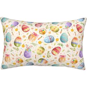 Easter Eggs Pillow Cases Pillow Covers Standard Size Pillowcase Soft with Zipper Pillow case 20"x30" (White62)