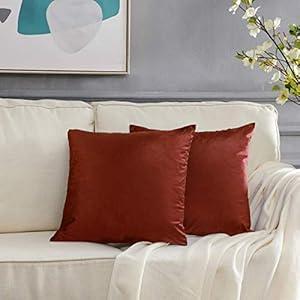 GIGIZAZA Decor Throw Couch Pillow Covers, Set of 2 Burnt Orange Sofa Cushion Pillow Covers, Velvet Pillow Cases 24 x 24inch