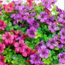 HyeFlora Artificial Flowers for Outdoor Indoor Garden Home Decoration, Faux Flower Daisy with Eucalyptus Leaves Fake Plants Greenery Boxwood Porch Patio, 12 Bundles (Purple Pink)
