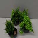 Der Rose Fake Plants 4 Packs Artificial Plants Small Faux Plants Black Bathroom Accessories for Halloween Bathroom Home Kitchen Coffee Table Office Desk Decor Indoor (Green)