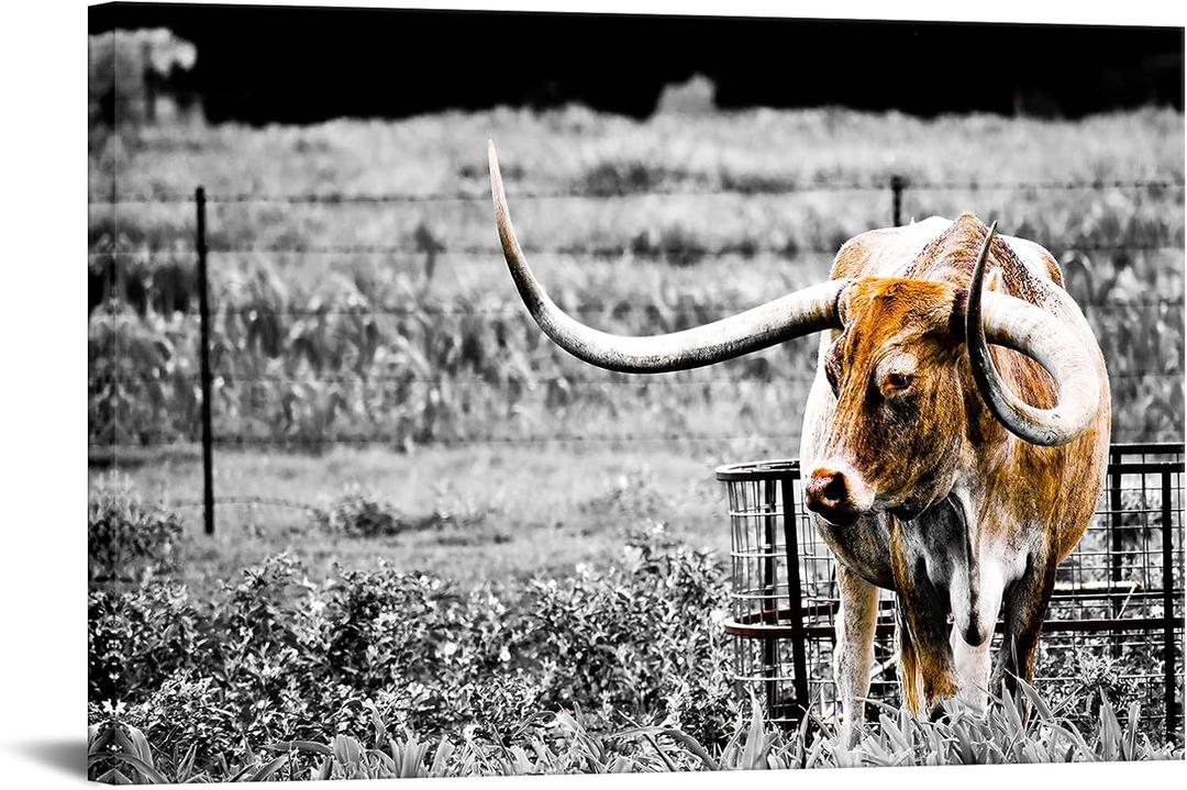 Animals Canvas Wall Art Decor Highland Cow Picture Longhorn Cattle Photograph Poster Prints Rustic Black White Artwork Country Style 24x36inches