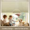 Changshade No Drill No Tools Light Filtering Cellular Shades,Cordless Blinds for Indoor Windows,Window Shades Honeycomb Blinds for Bedroom,Office,Home,34" w x 64" h,Beige