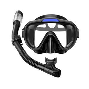 Snorkel Set Adults Snorkeling Gear Anti-Fog Panoramic View Swim Mask Dry Top Snorkel Kit with Carry Bag for Snorkeling Scuba Diving Swimming Travel