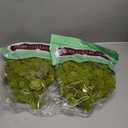 Quality Growers Reindeer Moss, Preserved Moss, Chartreuse, Medium 2-Pack | Preserved Moss for Crafts, Home Decor, Art, Design & DIY Projects, Non-Toxic, All Natural, Family Owned, USA Made