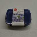 FF Alta Food Storage Container 31.1oz Blue