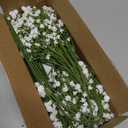 MARTINE MALL Babys Breath Artificial Flowers, 10 PCS White Baby Breath Flowers Artificial Bulk, Fake Babys Breath Gypsophila Real Touch Faux Babys Breath for Wedding Floral Arrangement Home Decor