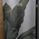 QDSSDECO 24x36 Poster Frame Black Wood Frame with Plexiglass Horizontal and Vertical Formats Hanging on the Wall Display Picture, Set of 3