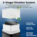 211+ Replacement Filter Compatible with Blue Pure Blue Pure 211+ Air Cleaner Purifier Series, 2 Stage Filtration System of H13 True and Activated Carbon Filter, 2 Pack