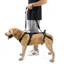 COODEO Mobility Dog Lift Harness, Support Sling & Walking Sling for Dogs, Pet Rear Leg Rehabilitation Support Vest, Dog Carrier for Senior Dogs with Joint Injuries, Arthritis, Up Stair (Black, XL)