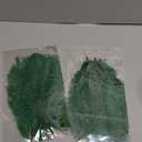 LONDGEN 10PCS Ostrich Feather 12-14 inch(30-35cm) Plumes for Party Wedding Centerpiece Festival Vases Decoration(Dark Green)