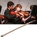 Brazilwood Violin Bow 4/4 w Rosewood Frog White Horsehair Leather Grip