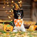 Halloween Dog Bandanas - 2 Pack Fall Dog Bibs | Reversible Pumpkin and Ghost Pet Scarf for Boys and Girls | Premium Durable Fabric | Orange Dog Bandana for Medium and Large Dogs (Large)