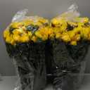 Juxdp 2 Set of Artificial Rose Topiary Trees  Faux Silk Flower Potted Plant, UV Resistant Fake Outdoor Rose Bush for Front Door, Farmhouse, Porch, Garden Decor (Yellow)