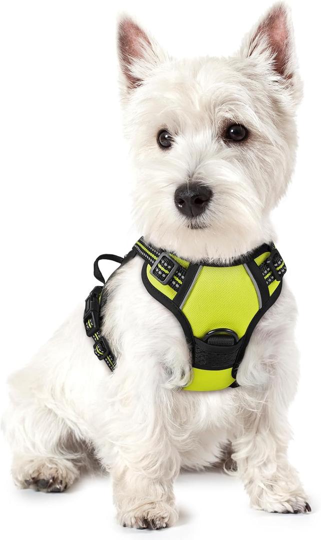 rabbitgoo Dog Harness No Pull with 2 Leash Clips, Adjustable Soft Padded, Reflective Oxford No Choke Pet Vest with Easy Control Handle for Puppy, Green, XS (Wild Lime)