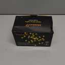 C9 Multicolor LED Christmas Light 25Ft Outdoor String Lights with 26 Plastic LED Bulbs(1 Spare), Connectable Vintage Christmas String Lights for Holiday Wedding Party Garden Home Decor, Green Wire