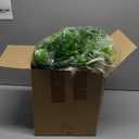 alyptus Hanging Plants Fake UV Resistant - 2-Pack Faux Greenery for Indoor/Outdoor Use - Artificial Hanging Fern for Porch, Living Room & Garden Decor - Includes Hanging Planters