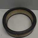 ACDelco GM Original Equipment A348C (06484235) Air Cleaner Element ((Pack of 1))