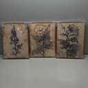 SongZest 3 Piece Vintage Botanical Framed Wall Art Dark Floral Canvas Art Prints Rustic Farmhouse Pictures Wall Decor Gothic Cottagecore Paintings Artwork for Living Room Bedroom Bathroom 12x16in
