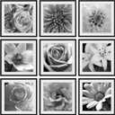 eletecpro 24x24 Picture Frames Set of 9, Classic Gallery Wall Frame Set for 20x20 Photos with Mat or 24x24 without Mat, Storyline Picture Frame for Art Prints, Black Poster Frames for Home Decor Wall