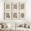Framed Coastal Wall Art for Living Room, 6 Piece Neutral Black Beige Modern Abstract Prints Artwork, Ocean Coral and Beach Tree Ring Pictures for Bedroom Dining Room Bathroom Wall Decor 11x14 In