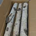 6 Pack Birch Logs Decorative Natural Birch Log for Decoration,Crafts,DIY,White Birch Logs for Fireplace Decor Firewood(Logs:1.4"2.6" Dia. x 16.5" Length)