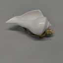 IS4A Dakshinavarti Shank 3.3 to 3.5 Inch with Brass Stand