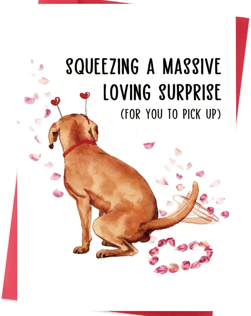 2 x Funny Valentines Day Card  Cute Dog Poop Pun Valentines Day Gifts for Him or Her  Hilarious Valentine Card for Boyfriend, Girlfriend, Husband, Wife, Men and Women (SK-040)