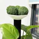 Moss Balls Decorative for Bowls,Handmade Large Moss Decorative Balls for Vase Fillers Home Garden Party Wedding Patio Decors (3.55"-Set of 8)