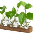 XXXFLOWER Plant Propagation Station with Wooden Stand，Air Plant Terrarium Starter Kits Star Vases for Flowers Plant Cutting Rooting Pots Indoor Hydroponic Glass Planter for Plant Lovers,3 Jars