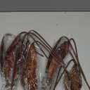 HyDren 10 Pcs Christmas Glitter Leaves Large Ornaments for Christmas Tree Picks Sprays Artificial Stems Branches Twigs Sprigs Floral for Xmas Tree Wreath Garland Vase DIY Decor(Brown)